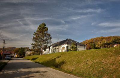 Manor House for sale Trenčiansky kraj, okres Trenčín, Melčice - Lieskové, Melčice, Region of Trenčín, Image 9/27