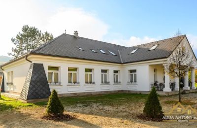 Manor House for sale Trenčiansky kraj, okres Trenčín, Melčice - Lieskové, Melčice, Region of Trenčín, Image 3/27