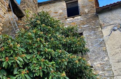 Country home for sale Liguria, , Image 5/10