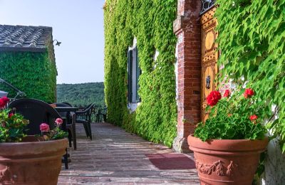 Historic property for sale Murlo, Tuscany, Image 4/49
