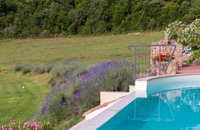 Historic property for sale Murlo, Tuscany, Image 36/49
