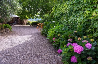 Historic property for sale Murlo, Tuscany, Image 46/49