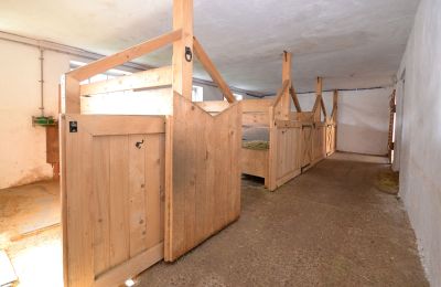 Country home for sale 91788 Pappenheim, Bavaria, Horse stalls