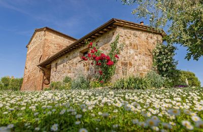 Country home for sale Montalcino, Tuscany, Image 14/26