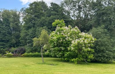 Country property for sale West Pomerania, Image 23/26