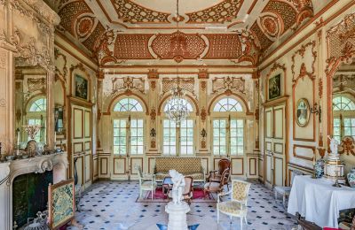 Castle for sale Vitry-le-François, Grand-Est, Entrance Hall