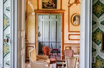 Castle for sale Vitry-le-François, Grand-Est, Image 5/10