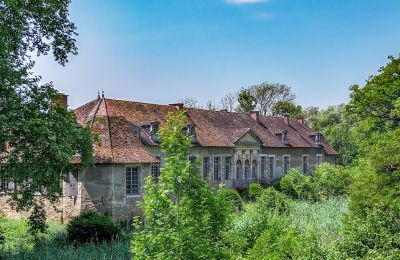 Castle for sale Vitry-le-François, Grand-Est, Palace Garden