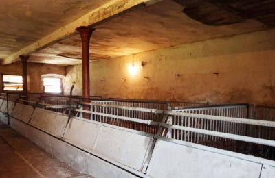 Historic property for sale 94152 Vornbach, Schauerödstraße 2+4, Bavaria, Image 11/21