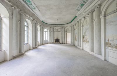 Castle for sale Luberadz, Mazovia, Ballroom