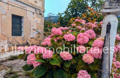 Manor House for sale Araba/Álava, Ayala/Aiara, Ayala / Aiara, Llanteno, Basque Country, Image 2/29