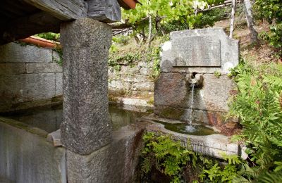 Historic property for sale Gondomar, Galicia, Garden