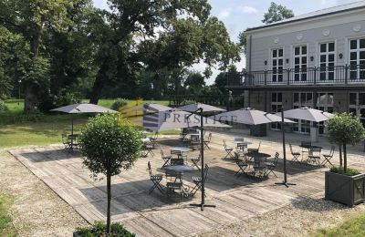 Manor House for sale Ojrzanów, Pałac w Ojrzanowie, Mazovia, Image 9/18