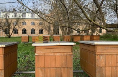 Manor House for sale Ojrzanów, Pałac w Ojrzanowie, Mazovia, Image 14/18