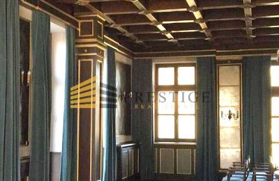 Manor House for sale Ojrzanów, Pałac w Ojrzanowie, Mazovia, Ballroom