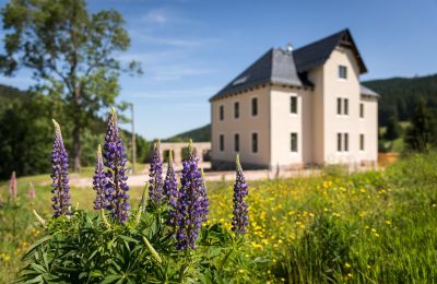 Manor House for sale 08309 Eibenstock, Saxony,, Image 5/6