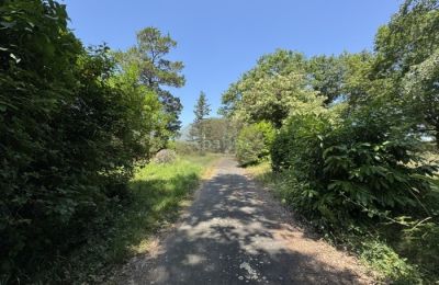 Historic property for sale Lannemezan, Occitania, Image 2/19