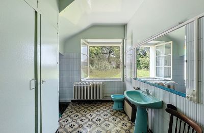 Historic property for sale Lannemezan, Occitania, Image 16/19