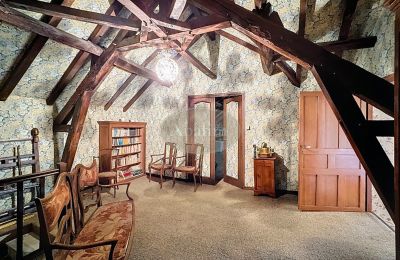 Historic property for sale Lannemezan, Occitania, Image 10/19
