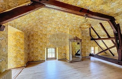 Historic property for sale Lannemezan, Occitania, Image 12/19