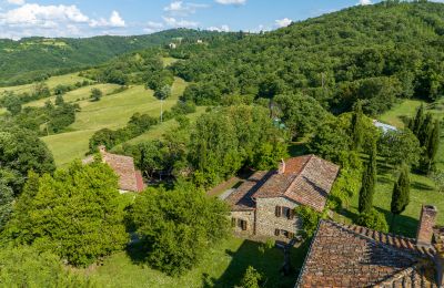 Country home for sale Anghiari, Tuscany, Image 3/38