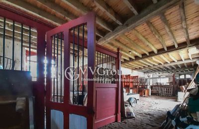 Manor House for sale Le Dorat, New Aquitaine, Image 13/14