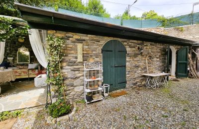 Historic Villa for sale Bee, Piemont, Image 15/20