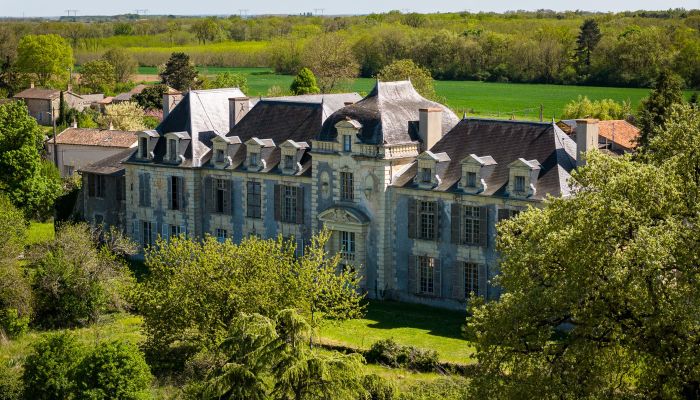 Restoration-ready 17th-century château with 64 acres near Saumur