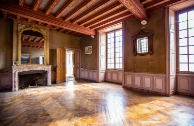 Castle for sale Thouars, New Aquitaine, Image 8/16