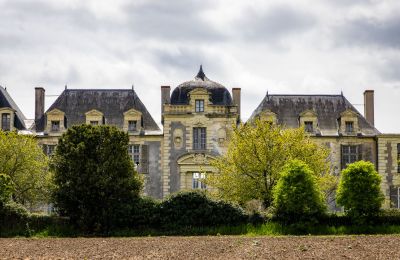 Castle for sale Thouars, New Aquitaine, Image 2/16