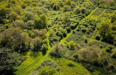 Castle for sale Thouars, New Aquitaine, Image 18/19