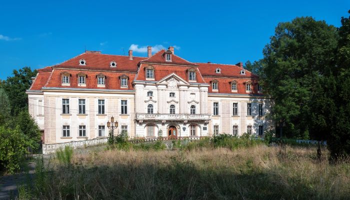 Castle for sale Roztocznik, Lower Silesia