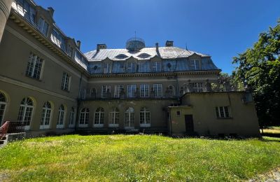 Castle for sale Łubie, Pyskowicka 34, Silesia, Image 3/20