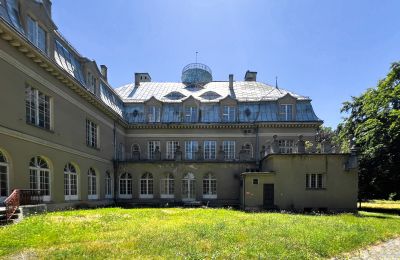 Castle for sale Łubie, Pyskowicka 34, Silesia, Back view