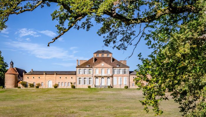 Castle for sale Nevers, Burgundy-Franche-Comté,  France