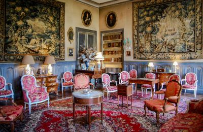 Castle for sale Nevers, Burgundy-Franche-Comté, Image 9/18