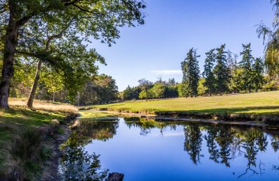 Castle for sale Nevers, Burgundy-Franche-Comté, Image 4/18