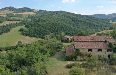 Country home for sale 06010 Monte Santa Maria Tiberina, Umbria, Image 15/50