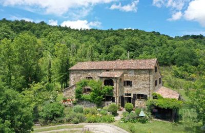 Country home for sale 06010 Monte Santa Maria Tiberina, Umbria, Image 1/50