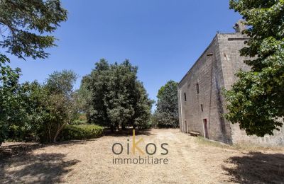 Historic property for sale Francavilla Fontana, Apulia, Image 8/34