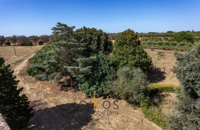 Historic property for sale Francavilla Fontana, Apulia, Image 12/34