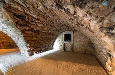 Manor house for sale Rakovec nad Ondavou, Košice Region, Basement