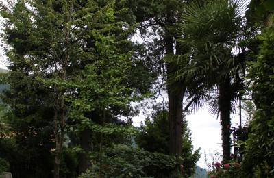 Historic Villa for sale Faido, Ticino, Access