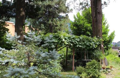 Historic Villa for sale Faido, Ticino, Image 26/44