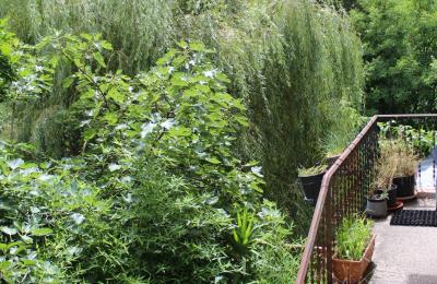 Historic Villa for sale Faido, Ticino, Image 23/44