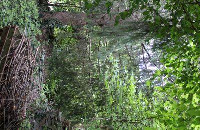 Historic Villa for sale Faido, Ticino, Image 11/44