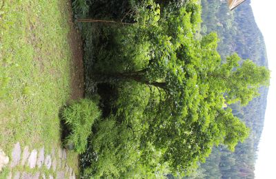 Historic Villa for sale Faido, Ticino, Image 29/44