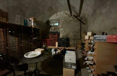 Historic Villa for sale Faido, Ticino, Cantina vini