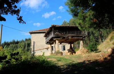 Country home for sale Niévares, Asturias, Image 39/39