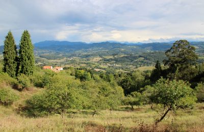 Country home for sale Niévares, Asturias, Image 38/39